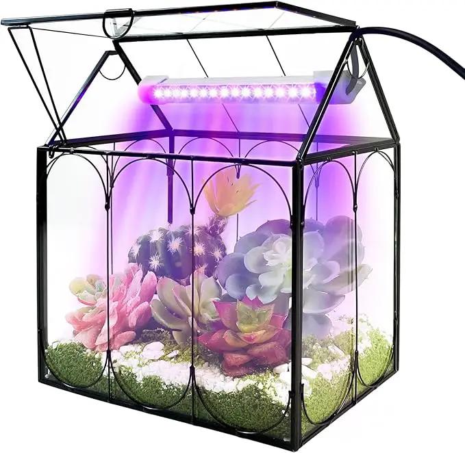 Plant Terrarium Kit with Grow Light, Rifny Large Glass Terrarium Jar with Absorbent Mat and Lid for Venus Fly Trap Succulent Live Air Plants Indoor Home Office Decor (Black, 8.9 x 5.9 x 9.9 inch) by GreenHaven Gardens