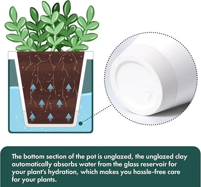 D'vine Dev 4 Inch Design Self Watering Planter for Indoor Plants, White Terracotta Pot with Teal Cylinder Glass Cup, Set of 2, 37-Y-A-5 by GreenHaven Gardens