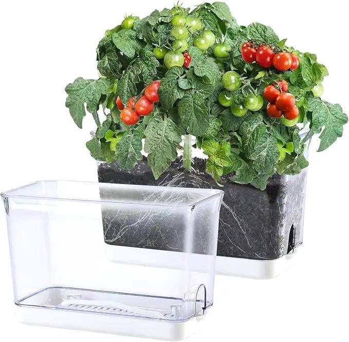 Self Watering Planter, 2 Pack African Violet Pots, Rectangular Self-Watering Clear Planters Box for Devil's Ivy, Spider Plants, Orchid. Flower Planting and Small Vegetables for Home Office by GreenHaven Gardens