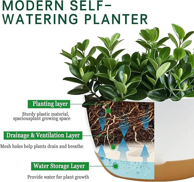 10 Inch Pots for Indoor Plants, Large Self Watering Planters with Drainage and Saucers, Plastic Outdoor Flower Pot, Set of 2, White by GreenHaven Gardens