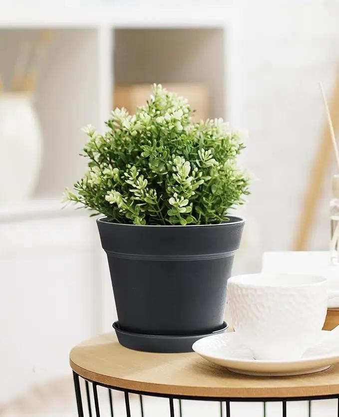 Homenote Pots for Plants, 15 Pack 6 Inch Plastic Planters with Multiple Drainage Holes and Tray,Plant Pots for All Home Garden Flowers Succulents (Black) by GreenHaven Gardens
