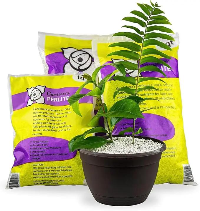 Organic Perlite - Medium/Fine Grade (1 Quart Bag) Horticultural Soil Amendment for Indoor & Outdoor Container Plants for Drainage Management and Enhanced Growth by GreenHaven Gardens