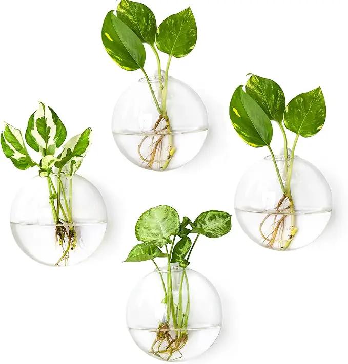 Ivolador Wall Hanging Planter Propagation Station Glass Flower Vase for Hydroponics Plants, Home Office Living Room Decor Gift, Set of 4 by GreenHaven Gardens