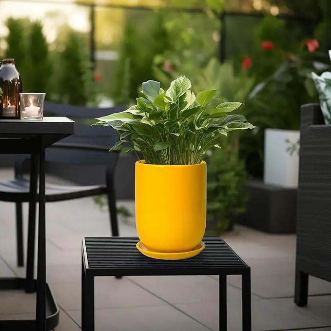 Plant Pot 8 Inch - Ceramic Plant Pot with Drainage Hole and Saucer Large Planter for Indoor Plants Outdoor Modern Flower Pot for Home Garden Decor Yellow by GreenHaven Gardens