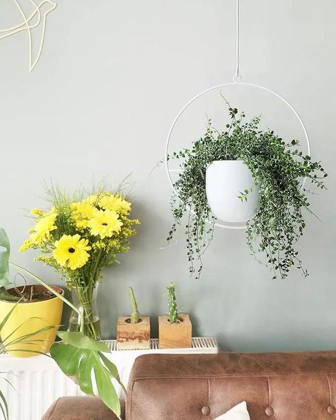 2 Pack Hanging Planters for Indoor Outdoor Plants Modern Metal Plant Hangers Wall and Ceiling Hanging Plants Baskets Mid Century Minimalist Flower Pots Home Decor, White by GreenHaven Gardens