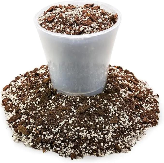 Premium Aloe Vera Potting Soil Mix - (4 Quart Bag) by GreenHaven Gardens