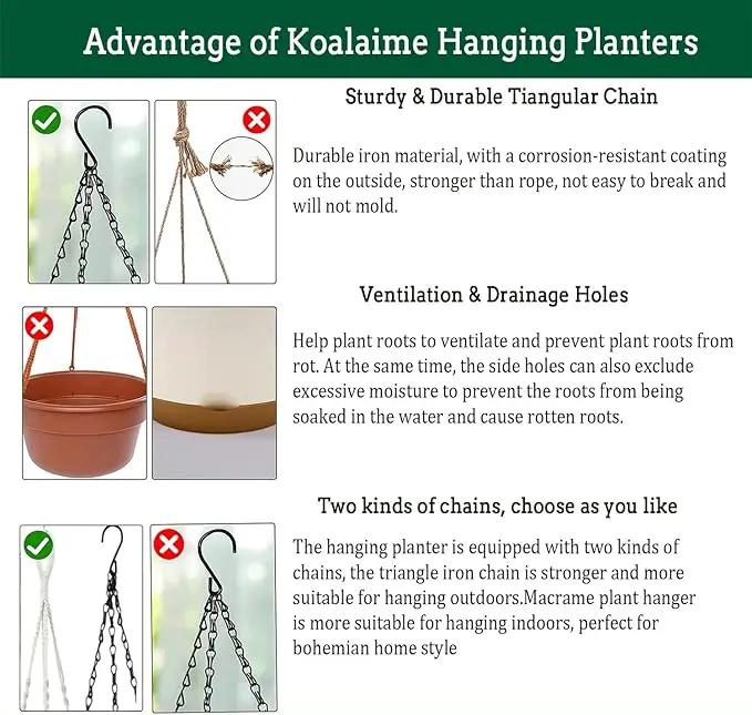 3 Pack Hanging Planters Set, 8 Inch Indoor Outdoor Hanging Plant Pot Basket,Hanging Flower Pot with Drainage Hole with 3 Hooks for Garden Home(8 inch Combination) by GreenHaven Gardens