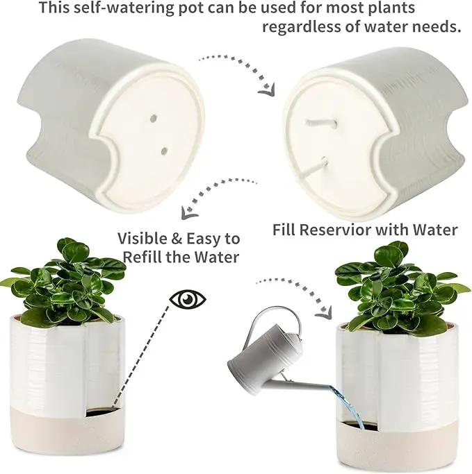 Nihow Self Watering Plant Pot: 8 Inch Ceramic Planter with Drainage Hole & Water Storage Plus for Indoor & Outdoor Plants - Cylinder Round Flower Pot for Succulent/Herbs/Violets - Cream White & Brown by GreenHaven Gardens
