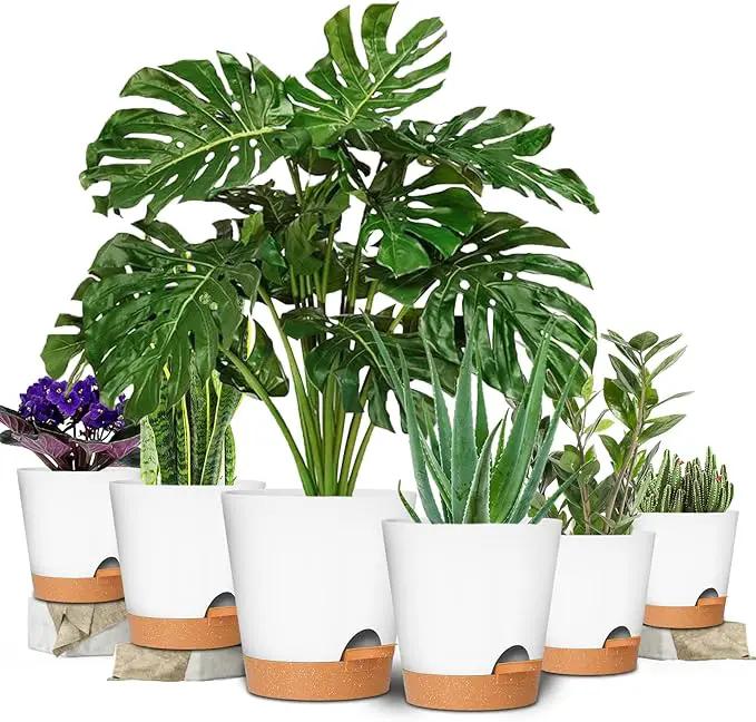 GARDIFE Plant Pots 8/7/6.5/6/5.5/5 Inch Self Watering Planters with Drainage Hole, Plastic Flower Pots, Nursery Planting Pot for All House Plants, African Violet, Flowers, and Cactus,White by GreenHaven Gardens