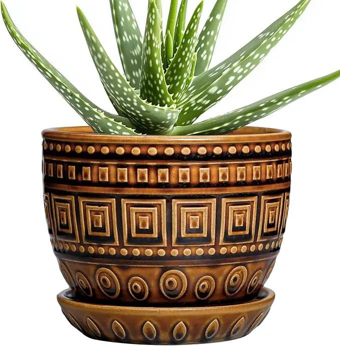 G EPGardening Succulent Pot 5.5 Inch - Ceramic Plant Pot for Indoor Plants Outdoor, Round Boho Planter with Drainage Hole and Saucer, Gifts for Plant Lovers, Office Home Garden Decor, Brown by GreenHaven Gardens