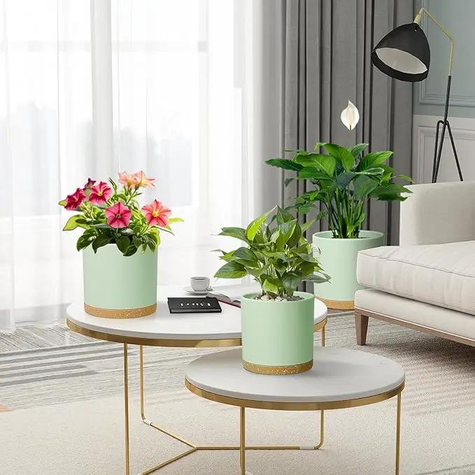 8/7/6 inch Plant Pots, 3 Pack Cylinder Flower Pots for Outdoor Indoor Plants, Decorative Plastic Planters with Drainage Holes and Saucers for Garden House Plants, Green with Brown by GreenHaven Gardens