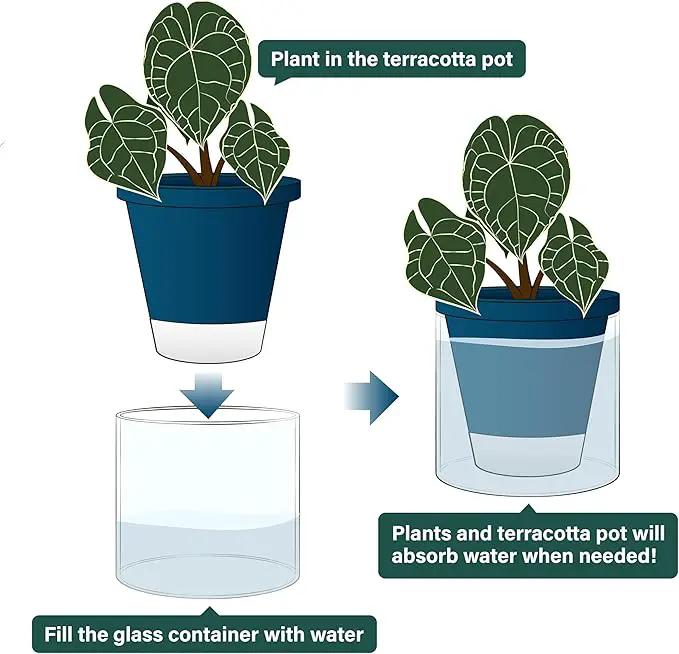 D'vine Dev 6 Inch Design Self Watering Planter for Indoor Plants, Blue Terracotta Pot with Cylinder Glass Cup, Set of 2, 37-Y-B-4 by GreenHaven Gardens