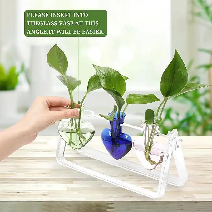 Plant Terrarium Propagation Stations with Acrylic Stand Birthday Gifts for Women Plant Stand Indoor Office Home Decor by GreenHaven Gardens