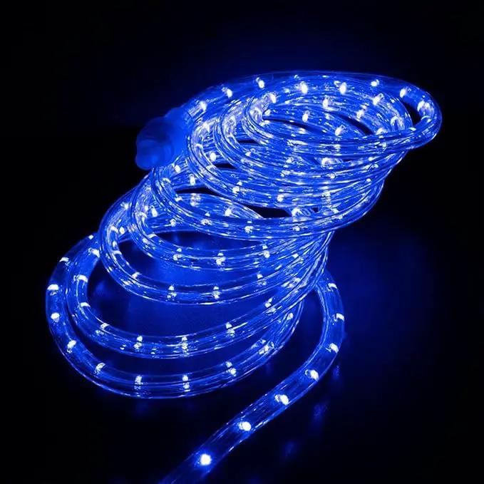 150ft LED Rope Lights Outdoor, 1080 LED Connectable and Flexible Tube Lights with 8 Modes, Waterproof LED Rope Lighting for Garden, Patio, Bedroom, Party, Pool, Indoor Outdoor Decoration (Blue) by GreenHaven Gardens