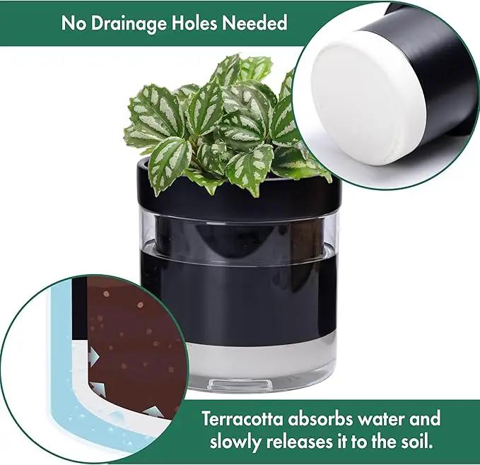 Phoenix Vine 6 Inch 4 Inch Self Watering Terracotta Planter, Black Terracotta Clay Pot with Glass Reservoir for Indoor Plants, Herbs, Flowers, 52-C-G-46 by GreenHaven Gardens