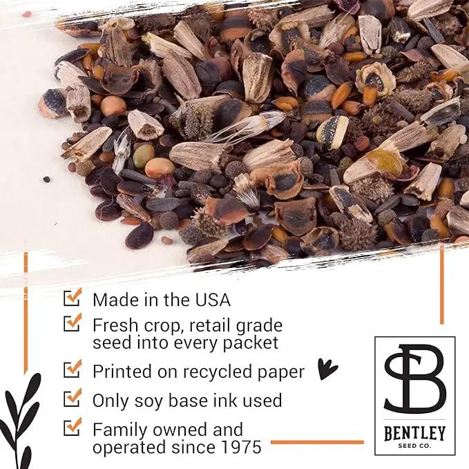 BENTLEY SEED CO. Oh Baby Flower Seeds Packets - Girl/Boy Baby Shower Favors - Pre-Filled, 25 Wildflower Seed Packs for Favor - Eco-Friendly Gift & Babys Guest Giveaways - Non-GMO Seeds - Pink Envelop by GreenHaven Gardens