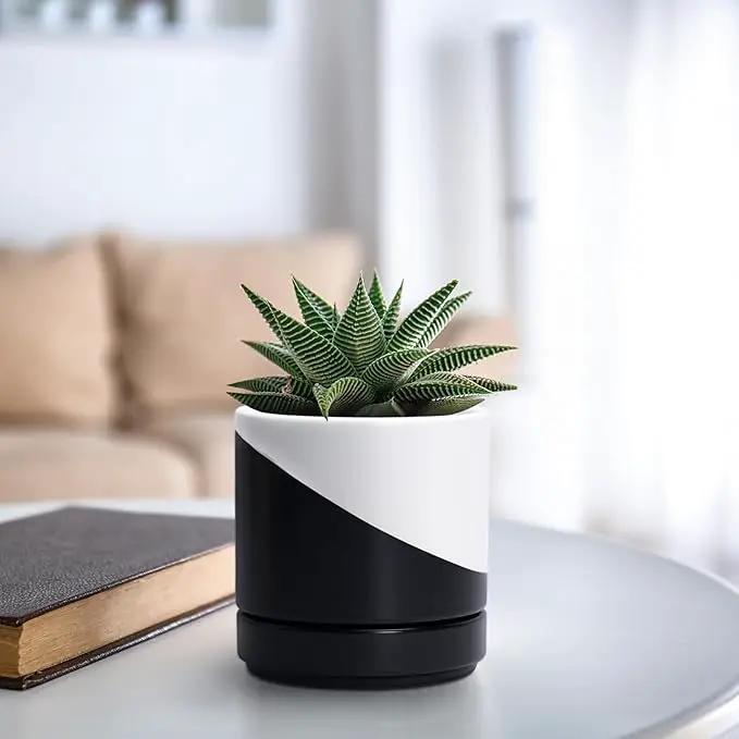 D'vine Dev 4.6 Inch Ceramic Planter Pot with Drainage Hole and Saucer, Indoor Cylinder Round Planter Pot, Oblique Monochrome Black and White, 94-O-B-K by GreenHaven Gardens