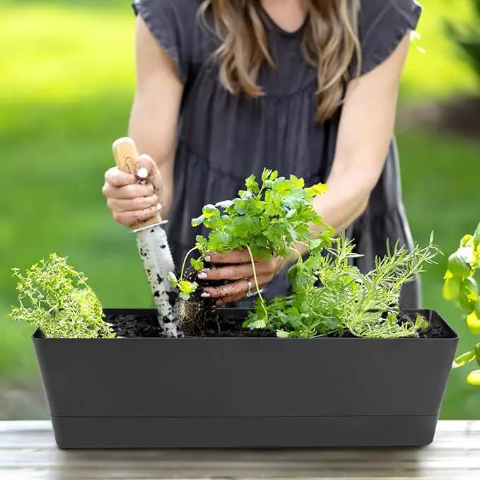 GREANER Rectangle Window Boxes, 6PCS 16x3.8 Inch Black Herb Planters with RemovableTray and Drainage Hole, Succulent Flowers Plastic Pot for Balcony, Office, Windowsill, Garden, Outdoor Decoration Use by GreenHaven Gardens