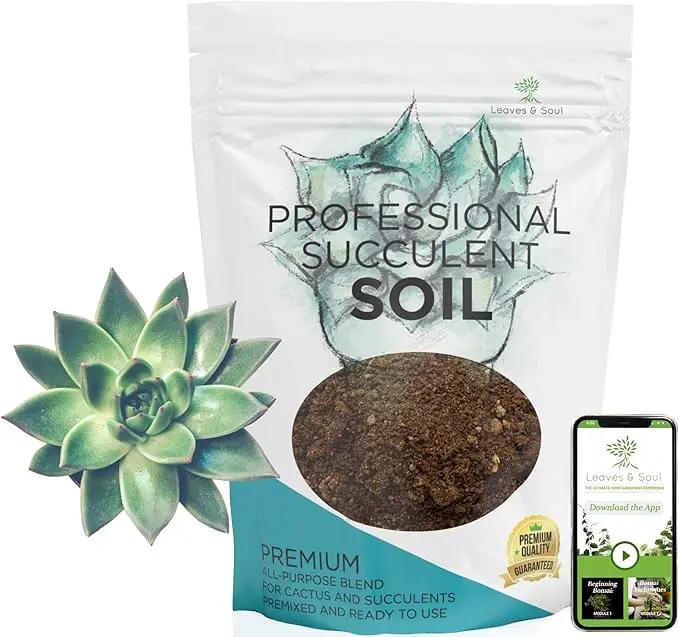 Extra Large 8.2 QT Bag Succulent Soil Premium All Purpose Blend | Pre-Mixed Ready to Use for Cactus and Succulents | Canadian Peat, Course Sand, Pinebark | Made in USA by GreenHaven Gardens