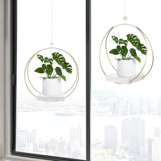 2 Pack Hanging Planter Holder for Indoor Plants, Plant Hanger with Sturdy Wood Base,Modern Boho Macrame Wall Ceiling Window Stands(Plants/Pots Not Included) by GreenHaven Gardens