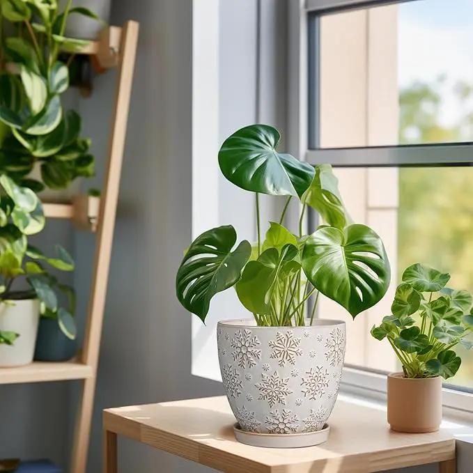 6.9 Inch Plant Pot with Drainage Hole and Saucer Ceramic Planter for Indoor Plant Flower Pot for Orchid Succulents Plants White by GreenHaven Gardens