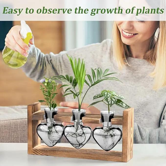 Lifecapido Heart Shaped Propagation Stations, Plant Terrarium with Wooden Stand, Plant Propagation Station for Hydroponics Plants Office Garden Home Decor, Gifts for Women Plant Lover (3 Vases, Gray) by GreenHaven Gardens