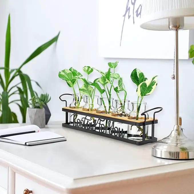 THYGIFTREE Plant Propagation Stations, Mothers Day Plant Lover Gifts for Mom Women Rooting for You Propagate Jars for Hydroponic Cuttings Propagating Vase by GreenHaven Gardens