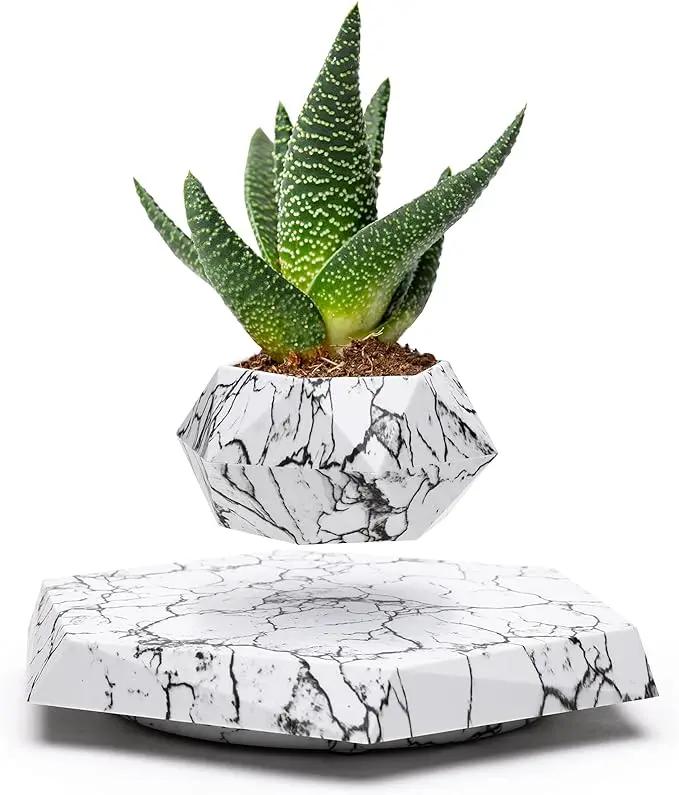 BandD Plant Pot for Succulents, air Bonsai & air Plants. Planter for Home, Office & Desk Decor. Magnetic Floating Levitating Display. (Marble) by GreenHaven Gardens