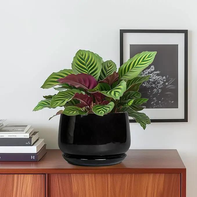 G EPGardening 6 Inch Planter - Ceramic Pot for Plants, Ceramic Planter with Drainage and Saucer, Round Flower Pot Indoor Outdoor, Modern Room Decor, Home Gifts, Black by GreenHaven Gardens