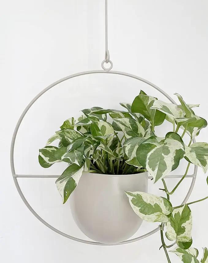 Boho White Metal Plant Hanger,Metal Wall and Ceiling Hanging Planter, Modern Planter, Mid Century Flower Pot Plant Holder, Minimalist Planter for Indoor Outdoor Home Decor… by GreenHaven Gardens