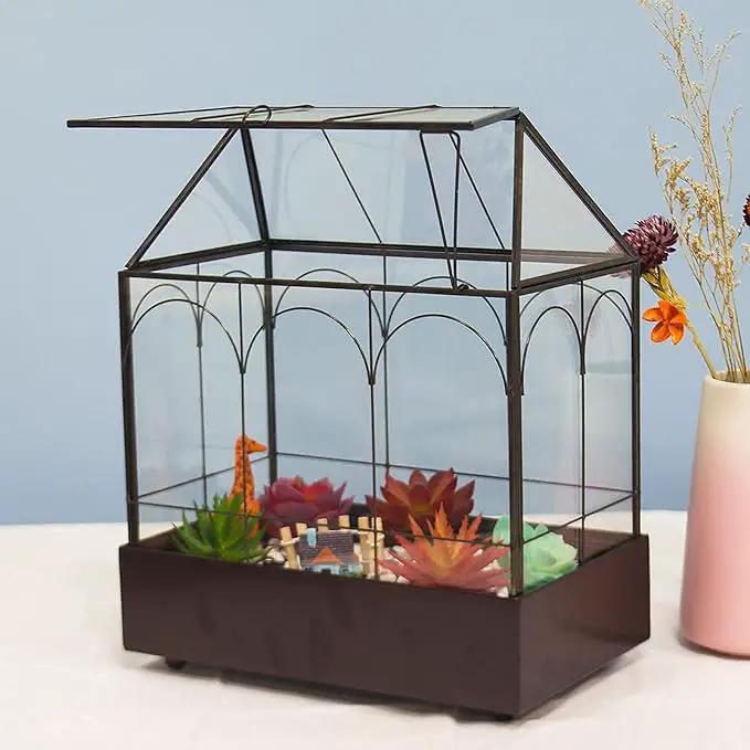 Large Tall Glass Plant Terrarium – House Succulent Terrarium Kit with Lip and Tray Glass Greenhouse Terrarium for Plant 9.5”X5.7”X11.4” by GreenHaven Gardens