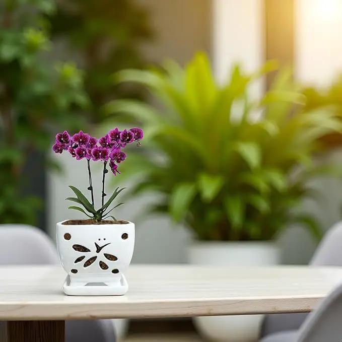 Orchid Pots with Holes Square Ceramic Orchid Planter Pots 5.5 inch (White) by GreenHaven Gardens