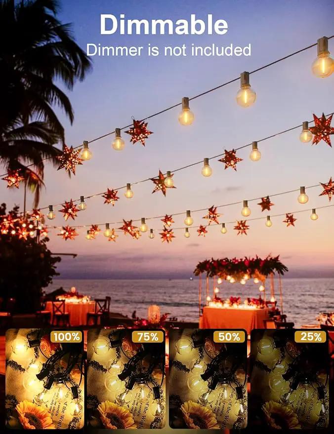 RTTY Outdoor String Lights 100 FT Globe LED Patio Lights with G40 Plastic Bulbs,Waterproof Shatterproof Dimmable Connectable Hanging for Backyard Porch Balcony Party Cafe Deck Decor by GreenHaven Gardens