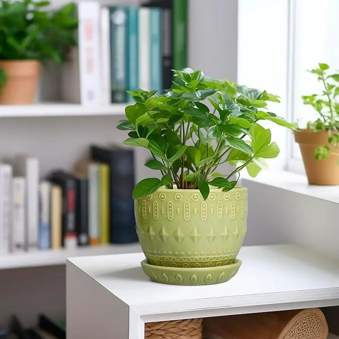 G EPGardening Ceramic Planter 5.5 Inch - Boho Plant Pot Indoor with Drainage Hole and Saucer, Round Flower Succulent Pot for Plants, Plant Lovers Gifts, Garden Office House Decor, Green by GreenHaven Gardens