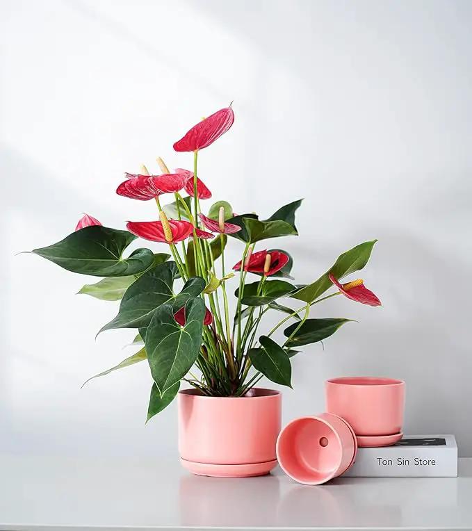 Ton Sin Plant Pots, 4.1+5.1+6.5 inch, Set of 3, Ceramic Planters with Drainage Hole and Saucer, Indoor Flower Pot with Hole Mesh Pad, Gifts for Mom(Matte Orange) by GreenHaven Gardens