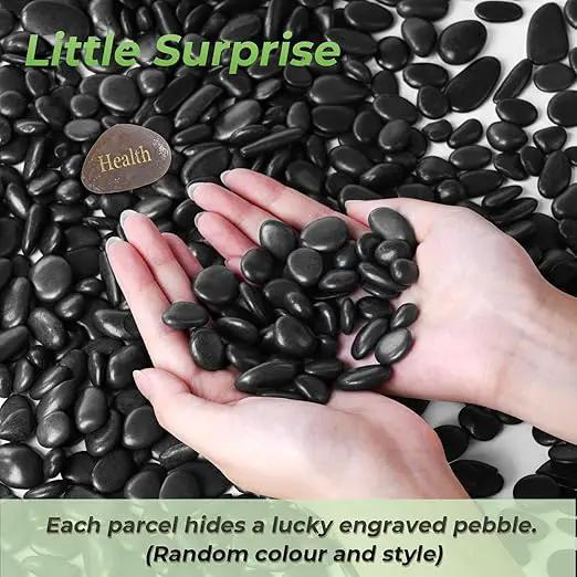 SIDONG 10 LB Black River Rocks, 0.3-0.5 Inches High Polished Pebbles for Indoor Plants, Aquarium Rocks Used in Fish Tank, Decorative Stones for Plants, Vases, Home Décor, Crafting, Garden Landscaping by GreenHaven Gardens
