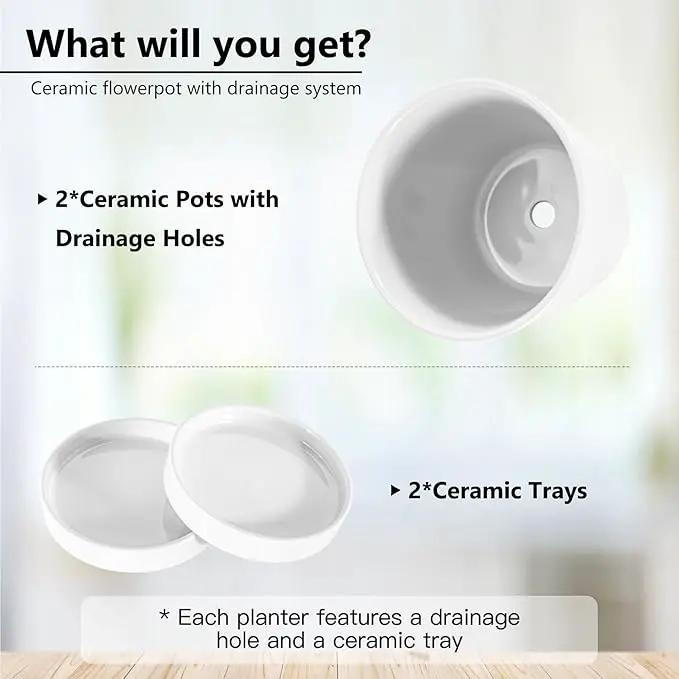 BUYMAX Plant Pots Indoor –6 inch Ceramic Flower Pot with Drainage Hole and Ceramic Tray - Gardening Home Desktop Office Windowsill Decoration Gift, Set of 2(White) by GreenHaven Gardens