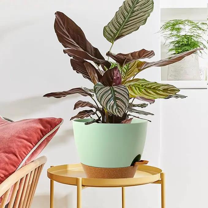 WOUSIWER 10 inch Self Watering Planters, 2 Pack Large Plastic Plant Pots with Deep Reservior and High Drainage Holes for Indoor Outdoor Plants and Flowers, Green with Terracotta by GreenHaven Gardens