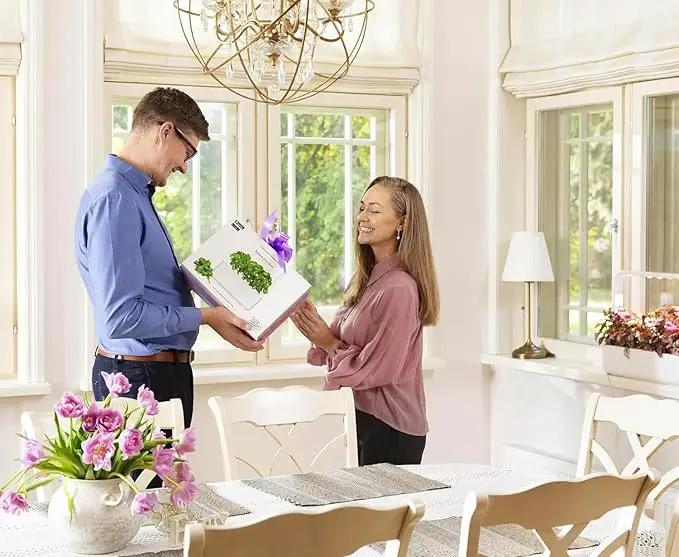 Click & Grow Indoor Herb Garden Kit with Grow Light | Smart Garden for Home Kitchen Windowsill | Easier Than Hydroponics Growing System | Vegetable Gardening Starter (3 Basil Pods Included), Grey by GreenHaven Gardens