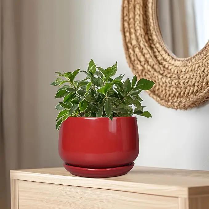 G EPGardening Ceramic Plant Pots - 9 Inch Flower pots for Indoor Outdoor Plant, Round Planter with Drainage and Saucer, Modern Home Decor, Gift for Women Men, Red by GreenHaven Gardens