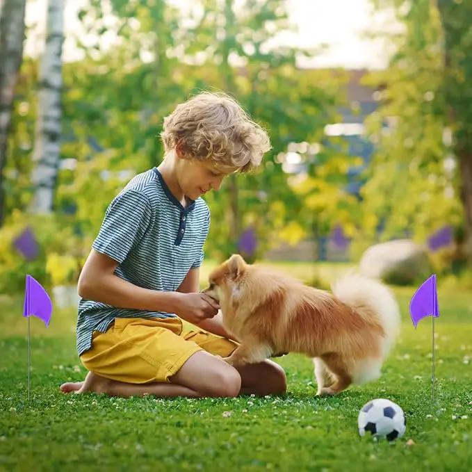 Zozen 100Pack Purple Marking Flags, Writable | 15x4x5 Inch, Yard Flags for Lawn & Irrigation & Landscape & Sprinkler & Survey & Dog Training. by GreenHaven Gardens