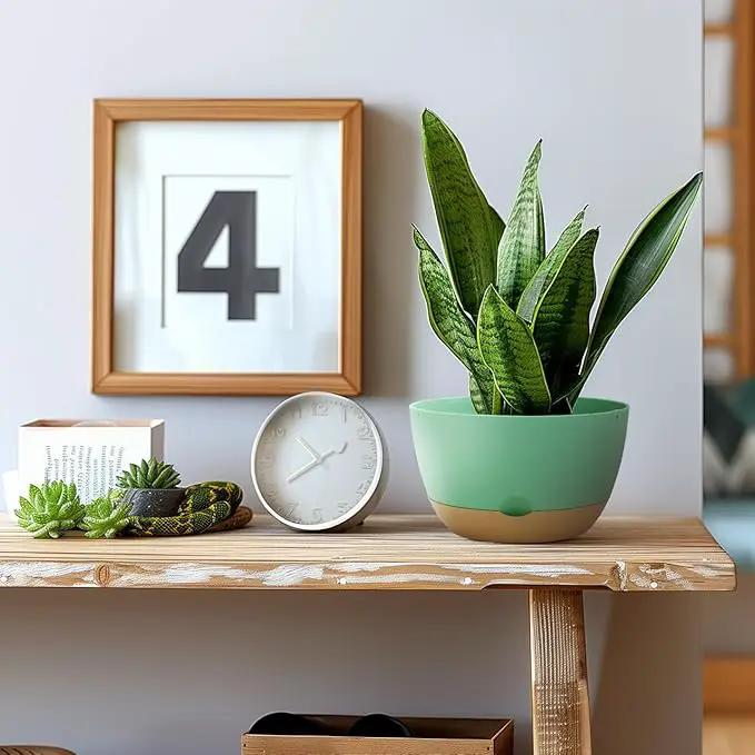 8/10/12 Inch Pots for Indoor Plants, Large Self Watering Planters with Drainage and Saucers, Plastic Outdoor Flower Pot, Set of 3, Green by GreenHaven Gardens