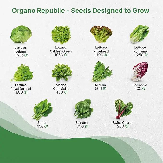 Organo Republic 22 Lettuce & Salad Greens Seeds Variety Pack 24,700+ Non-GMO Heirloom Lettuce Seeds for Indoor & Outdoor Garden, Hydroponics, Aerogarden - Arugula, Kale, Spinach, Swiss Chard, Lettuce by GreenHaven Gardens