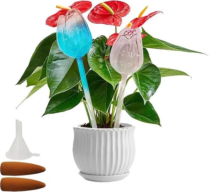 2 PC Glass Water Globes for Plants, Self-Watering Plant Device Plant Watering Globes Tulips Insert Spikes Drip Devices for Indoor & Outdoor Plants by GreenHaven Gardens