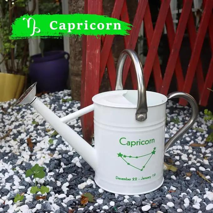 Metal Watering Can for Outdoor and Indoor Plants, Watering Can Decor, 1 Gallon (Capricorn) by GreenHaven Gardens