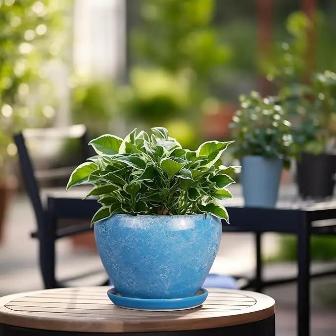 6 Inch Plant Pot - Ceramic Planter Pot with Drainage Hole and Saucer, Glaze Succulent Pot Modern Round Flower Pot for Indoor Plants, Blue by GreenHaven Gardens