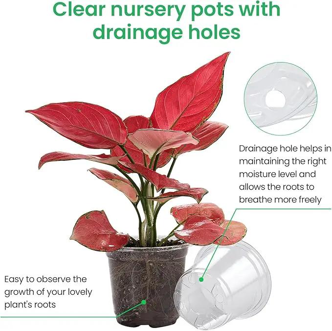 36 Packs 5/4/3.5 Inch Reinforced Clear Nursery Pots with Drainage Hole, Transparent Variety Pack Plastic Plant Pot Seedling Planter Seed Starter Flower by GreenHaven Gardens