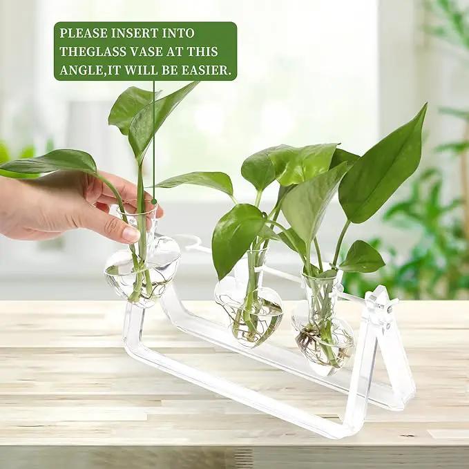 Plant Terrarium Propagation Stations with Acrylic Stand Birthday Gifts for Women Plant Stand Indoor Office Home Decor by GreenHaven Gardens