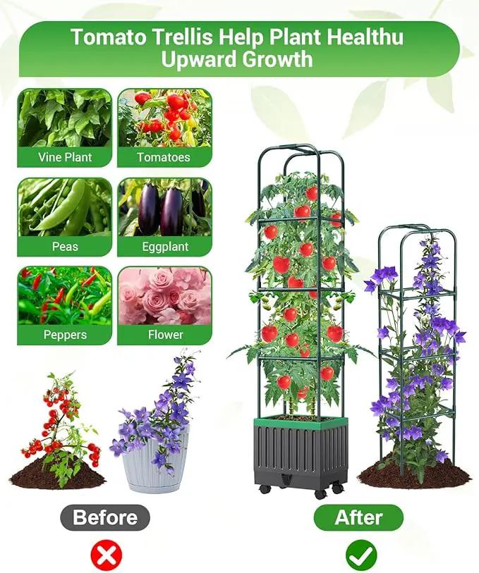 Tomato Planter Box with Trellis, 68.7" Tall Self Watering Tomato Cages for Climbing Vegetables Plant, Raised Garden Bed for Garden, Tomato Plant Support Pots for Patio Indoor Outdoor（68.7" ） by GreenHaven Gardens