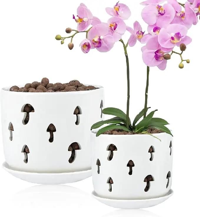 KERUITA Orchid Pots with Holes,5 inch + 6 inch Ceramic Planters Set of 2 with 2 Tray,White Flower Pot with Dancing Mushroom Shaped Vent, Enhanced Drainage and Ventilation by GreenHaven Gardens